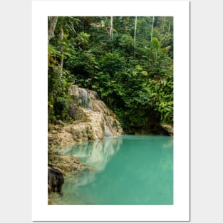 Rainforest waterfall with green lake Posters and Art